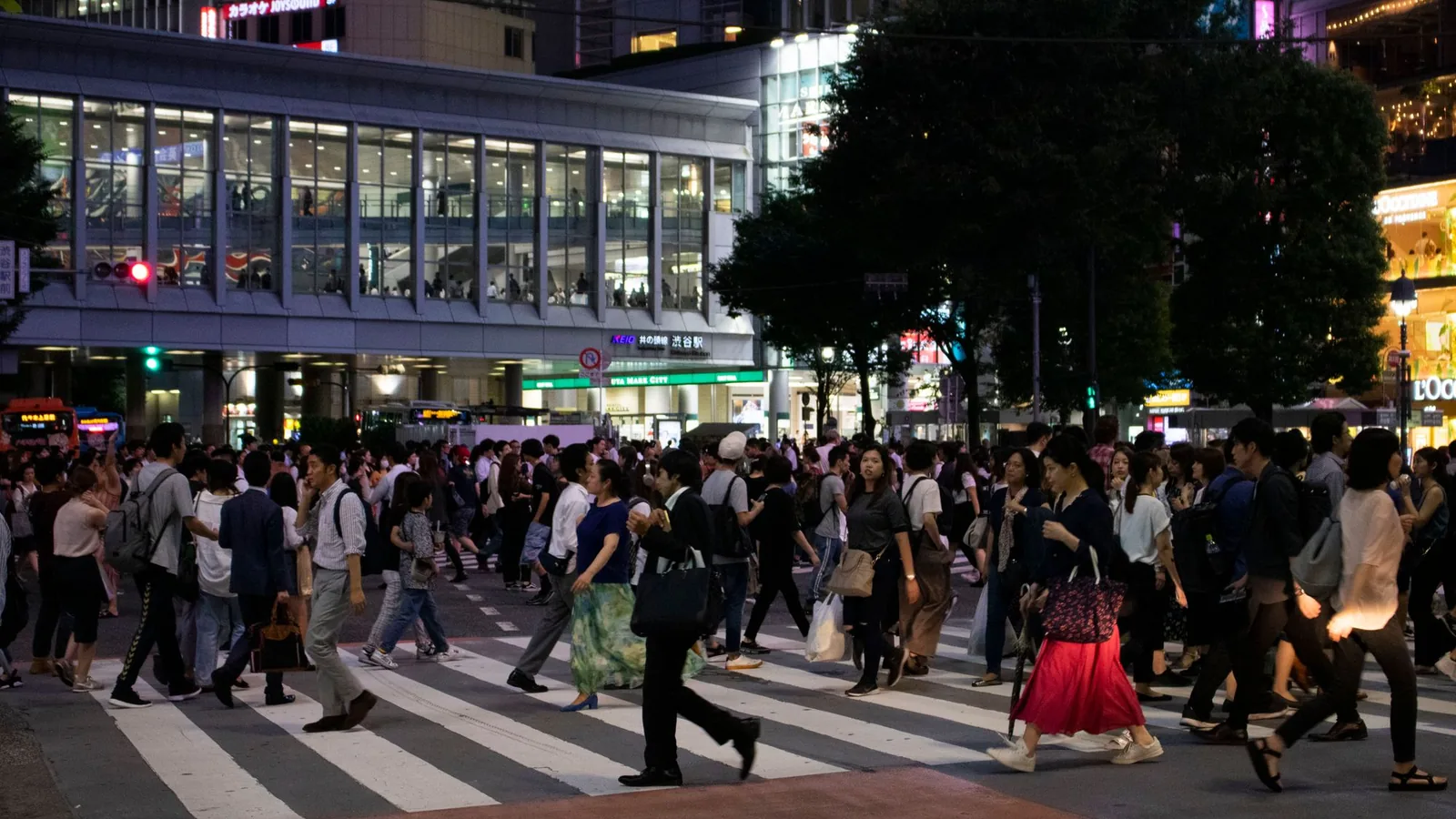 Shibuya Nightlife: Bars, Views and Late-Night Eats