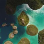 Vacanță în Raja Ampat